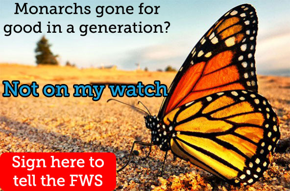 gone in a generation, not on my watch. Click here