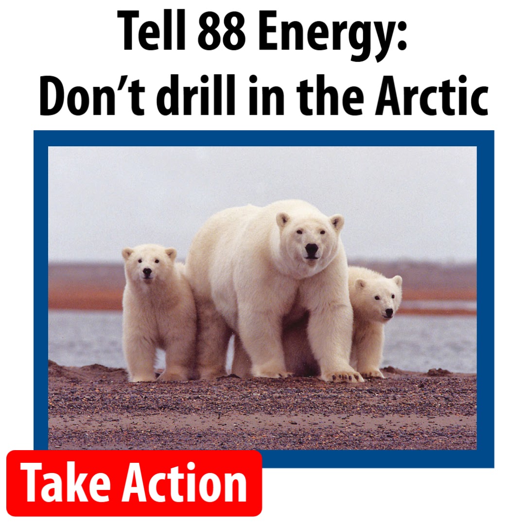 Tell 88 Energy: Don't drill in the Arctic