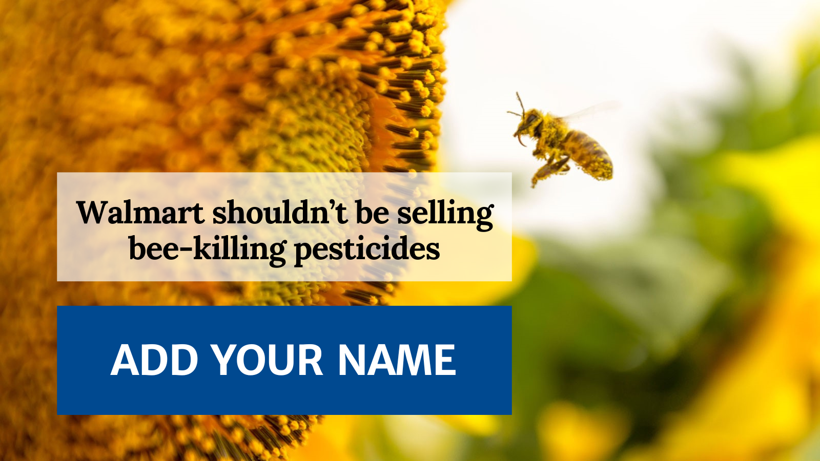 Walmart shouldn't be selling bee-killing pesticides. Add your name.