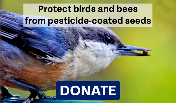 Protect birds and bees from pesticide-coated seeds. Donate.