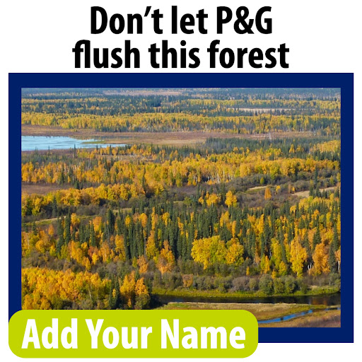 Don't let P&G flush this forest. Add your name