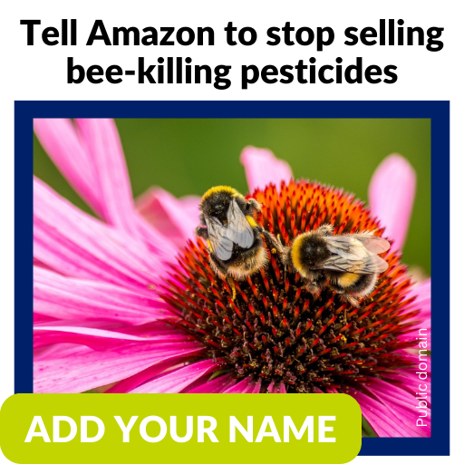 Tell Amazon to stop selling bee-killing pesticides. Add your name
