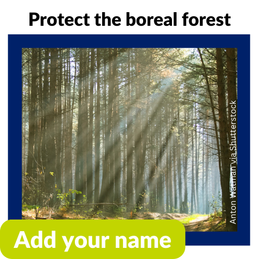 Tell The Home Depot: Protect the boreal forest. Add your name