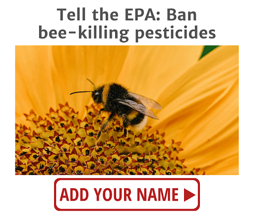Tell the EPA to ban bee-killing pesticides