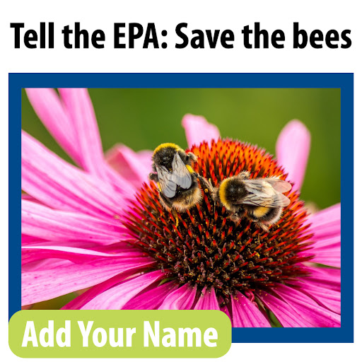 Tell the EPA: Save the bees. Add Your Name