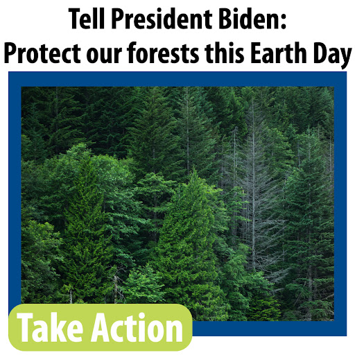 Tell President Biden: Protect our forests this Earth Day. Take Action