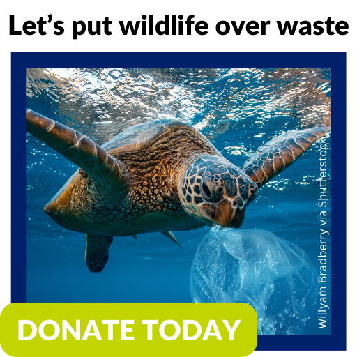 Let's put wildlife over waste. Donate today