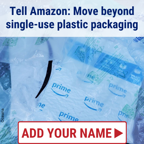 Tell Amazon: Move beyond single-use plastic packaging. Add your name