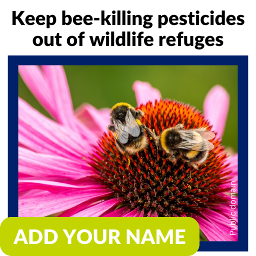 Keep bee-killing pesticides out of wildlife refuges. Add your name.