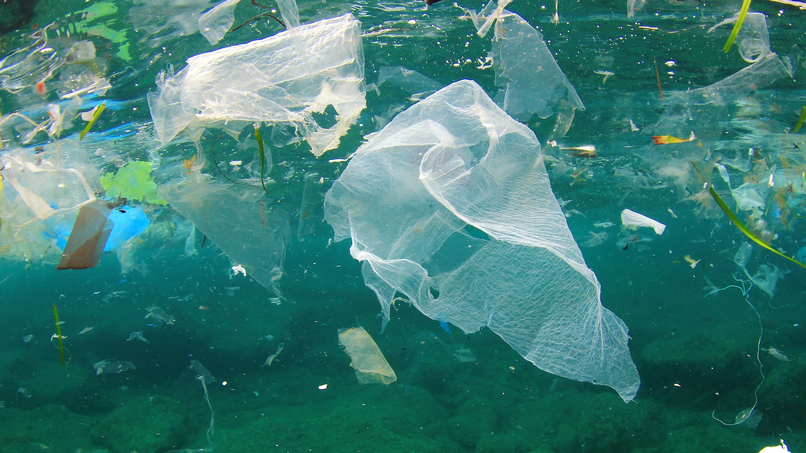 Tell the EPA: Take bold action on plastic pollution